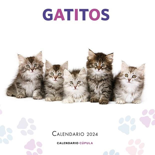 CALENDARIO GATITOS 2024 | 9788448038076 | AA.DD. | Llibreria Drac - Librería de Olot | Comprar libros en catalán y castellano online