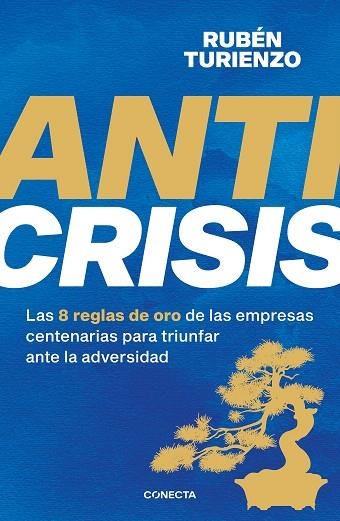 ANTICRISIS | 9788418053085 | TURIENZO, RUBÉN | Llibreria Drac - Librería de Olot | Comprar libros en catalán y castellano online
