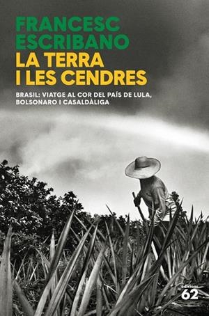 TERRA I LES CENDRES, LA | 9788429781458 | ESCRIBANO, FRANCESC | Llibreria Drac - Librería de Olot | Comprar libros en catalán y castellano online