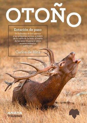 OTOÑO. ESTACIÓN DE PASO | 9788491586685 | HITA, CARLOS DE | Llibreria Drac - Librería de Olot | Comprar libros en catalán y castellano online