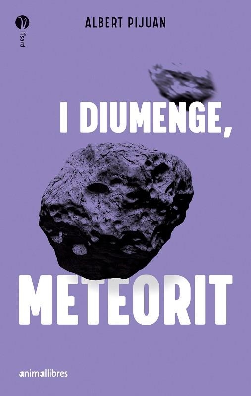 I DIUMENGE, METEORIT | 9788419659415 | PUJUAN, ALBERT | Llibreria Drac - Librería de Olot | Comprar libros en catalán y castellano online