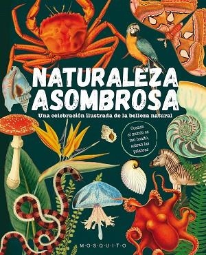 NATURALEZA ASOMBROSA | 9788419095589 | AA.DD. | Llibreria Drac - Librería de Olot | Comprar libros en catalán y castellano online