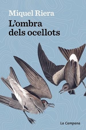 OMBRA DELS OCELLOTS, L’ | 9788419245175 | RIERA, MIQUEL | Llibreria Drac - Llibreria d'Olot | Comprar llibres en català i castellà online
