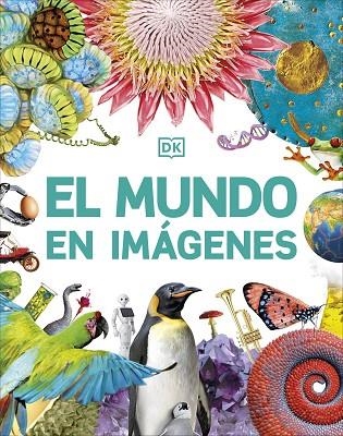 MUNDO EN IMÁGENES, EL | 9780241642177 | DK | Llibreria Drac - Librería de Olot | Comprar libros en catalán y castellano online