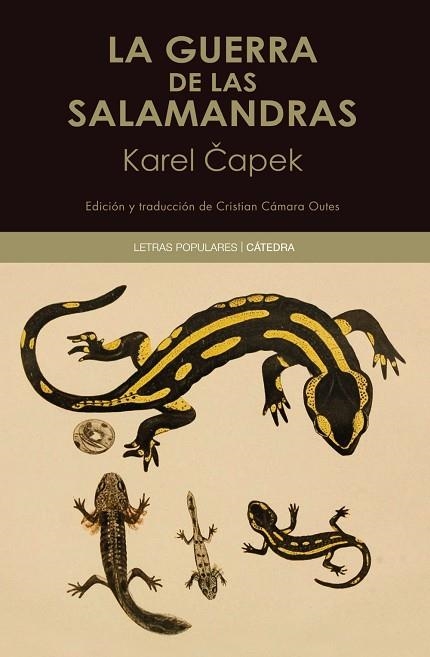 GUERRA DE LAS SALAMANDRAS, LA | 9788437646466 | CAPEK, KAREL | Llibreria Drac - Librería de Olot | Comprar libros en catalán y castellano online