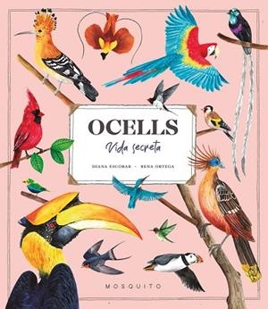 OCELLS | 9788419095534 | ESCOBAR, DIANA | Llibreria Drac - Llibreria d'Olot | Comprar llibres en català i castellà online
