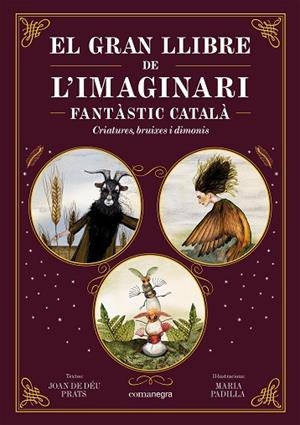GRAN LLIBRE DE L'IMAGINARI FANTÀSTIC CATALÀ, EL | 9788419590558 | PRATS, JOAN DE DÉU | Llibreria Drac - Llibreria d'Olot | Comprar llibres en català i castellà online