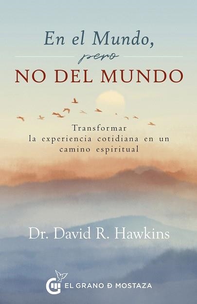 EN EL MUNDO, PERO NO DEL MUNDO | 9788412734041 | HAWKINS, DAVID R. | Llibreria Drac - Librería de Olot | Comprar libros en catalán y castellano online