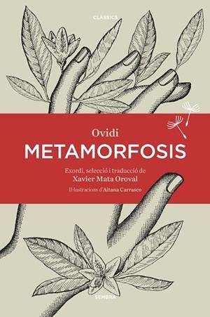 METAMORFOSIS | 9788416698387 | OVIDI | Llibreria Drac - Librería de Olot | Comprar libros en catalán y castellano online