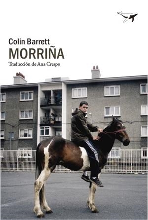 MORRIÑA | 9788412619423 | BARRETT, COLIN | Llibreria Drac - Librería de Olot | Comprar libros en catalán y castellano online