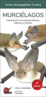 MURCIELAGOS (GUIAS DESPLEGABLES TUNDRA) | 9788418458156 | HERNANDEZ, VICTOR J. | Llibreria Drac - Librería de Olot | Comprar libros en catalán y castellano online