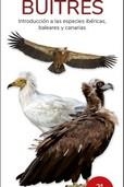 BUITRES  (GUIAS DESPLEGABLES TUNDRA) | 9788419624321 | HERNANDEZ, VICTOR J. | Llibreria Drac - Librería de Olot | Comprar libros en catalán y castellano online