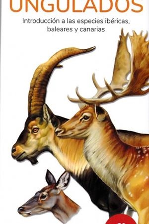 UNGULADOS. INTRODUCCION A LAS ESPECIES IBERICAS, BALEARES Y CANARIAS (GUIAS DESPLEGABLES TUNDRA) | 9788418458064 | HERNADEZ, VICTOR J. | Llibreria Drac - Librería de Olot | Comprar libros en catalán y castellano online