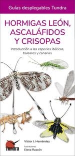 HORMIGAS LEON, ASCALAFIDOS Y CRISOPAS (GUIAS DESPLEGABLES TUNDRA) | 9788418458507 | HERNANDEZ, VICTOR J. | Llibreria Drac - Librería de Olot | Comprar libros en catalán y castellano online
