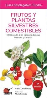 FRUTOS Y PLANTAS SILVESTRES COMESTIBLES (GUIAS DESPLEGABLES TUNDRA) | 9788418458729 | Llibreria Drac - Librería de Olot | Comprar libros en catalán y castellano online