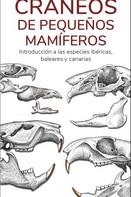 CRANEOS DE PEQUEÑOS MAMIFEROS  (GUIAS DESPLEGABLES TUNDRA) | 9788419624185 | HERNANDEZ, VICTOR J. | Llibreria Drac - Librería de Olot | Comprar libros en catalán y castellano online