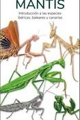 MANTIS  (GUIAS DESPLEGABLES TUNDRA) | 9788419624154 | HERNANDEZ, VICTOR J. | Llibreria Drac - Librería de Olot | Comprar libros en catalán y castellano online