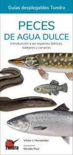 AVES DE LA COMUNIDAD DE MADRID   (GUIAS  DESPLEGABLES TUNDRA) | 9788418458910 | HERNANDEZ, VICTOR J. | Llibreria Drac - Llibreria d'Olot | Comprar llibres en català i castellà online