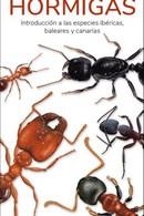 HORMIGAS   (GUIAS DESPLEGABLES TUNDRA) | 9788418458569 | HERNANDEZ, VICTOR J. | Llibreria Drac - Llibreria d'Olot | Comprar llibres en català i castellà online