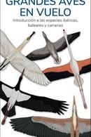 GRANDES AVES EN VUELO (GUIAS DESPLEGABLES TUNDRA) | 9788418458682 | HERNANDEZ, VICTOR J. | Llibreria Drac - Librería de Olot | Comprar libros en catalán y castellano online