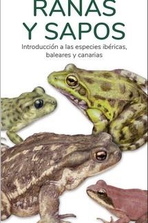 RANAS Y SAPOS  (GUIAS DESPLEGABLES TUNDRA) | 9788419624109 | HERNANDEZ, VICTOR J. | Llibreria Drac - Llibreria d'Olot | Comprar llibres en català i castellà online