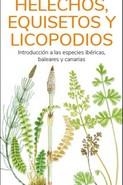 HELECHOS, EQUISETOS Y LICOPODIOS  (GUIAS DESPLEGABLES TUNDRA) | 9788418458552 | HERNANDEZ, VICTOR J. | Llibreria Drac - Librería de Olot | Comprar libros en catalán y castellano online