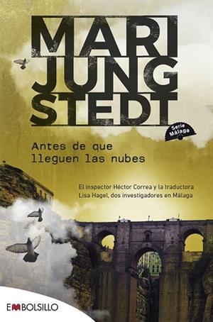 ANTES DE QUE LLEGUEN LAS NUBES | 9788418185632 | JUNGSTEDT, MARI | Llibreria Drac - Librería de Olot | Comprar libros en catalán y castellano online