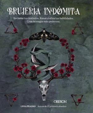 BRUJERÍA INDÓMITA | 9788441549197 | PRADAS, LIDIA | Llibreria Drac - Llibreria d'Olot | Comprar llibres en català i castellà online