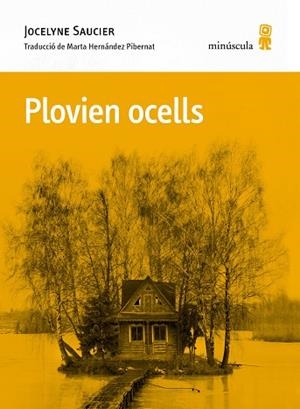 PLOVIEN OCELLS | 9788412662092 | SAUCIER, JOCELYNE | Llibreria Drac - Librería de Olot | Comprar libros en catalán y castellano online