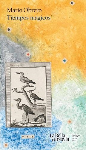 TIEMPOS MÁGICOS | 9788433922946 | OBRERO, MARIO | Llibreria Drac - Librería de Olot | Comprar libros en catalán y castellano online