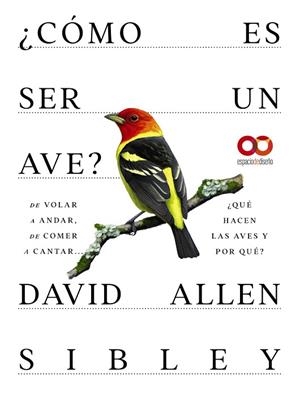 ¿CÓMO ES SER UN AVE? DE VOLAR A ANIDAR, DE COMER A CANTAR... | 9788441549050 | ALLEN SIBLEY, DAVID | Llibreria Drac - Llibreria d'Olot | Comprar llibres en català i castellà online