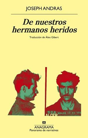 DE NUESTROS HERMANOS HERIDOS | 9788433924087 | ANDRAS, JOSEPH | Llibreria Drac - Llibreria d'Olot | Comprar llibres en català i castellà online
