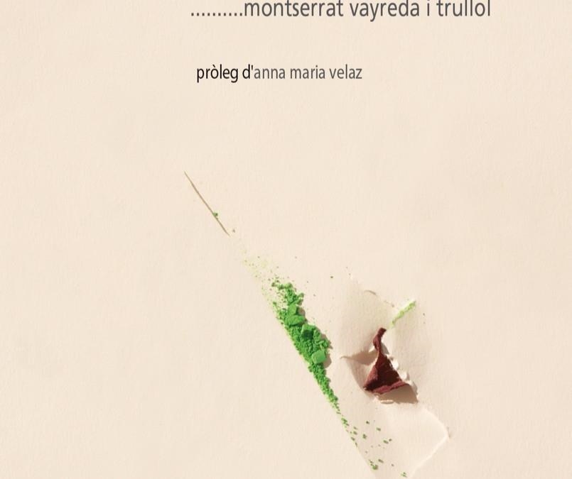 UN COLOR PER CADA AMIC | 9788481280647 | VAYREDA, MONTSERRAT | Llibreria Drac - Librería de Olot | Comprar libros en catalán y castellano online