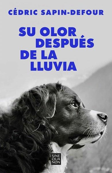 SU OLOR DESPUÉS DE LA LLUVIA | 9788466678766 | SAPINDEFOUR, CÉDRIC | Llibreria Drac - Librería de Olot | Comprar libros en catalán y castellano online