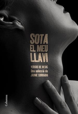 SOTA EL MEU LLAVI | 9788466432177 | SUBIRANA, JAUME | Llibreria Drac - Librería de Olot | Comprar libros en catalán y castellano online