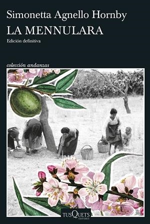 MENNULARA, LA | 9788411074919 | AGNELLO HORNBY, SIMONETTA | Llibreria Drac - Llibreria d'Olot | Comprar llibres en català i castellà online