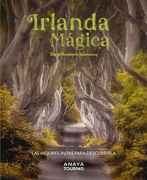 IRLANDA MÁGICA | 9788491587224 | ROCABERTI, DAVID | Llibreria Drac - Librería de Olot | Comprar libros en catalán y castellano online