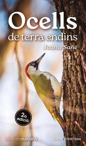 OCELLS DE TERRA ENDINS | 9788413563725 | SAÑÉ, JAUME | Llibreria Drac - Librería de Olot | Comprar libros en catalán y castellano online