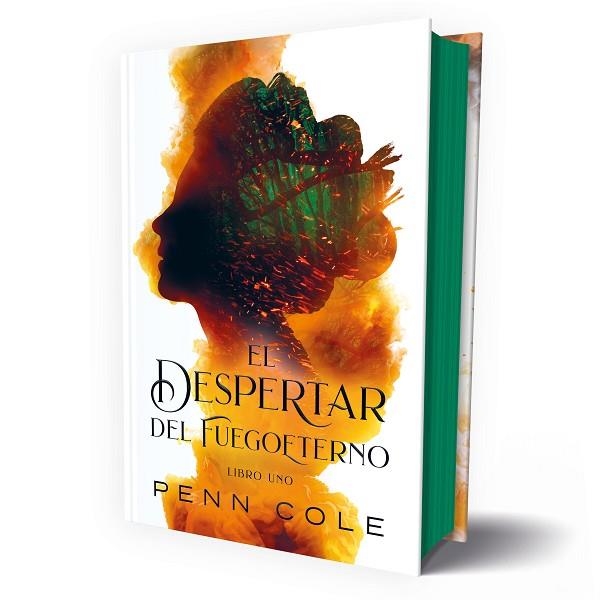 DESPERTAR DEL FUEGOETERNO, EL VOL 1 | 9788419621665 | COLE, PENN | Llibreria Drac - Librería de Olot | Comprar libros en catalán y castellano online
