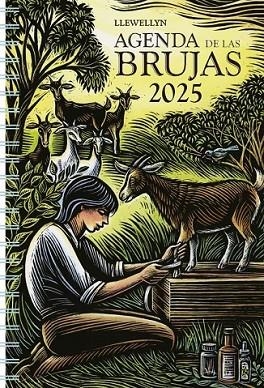 2025 AGENDA DE LAS BRUJAS | 9788411721509 | LLEWELLYN | Llibreria Drac - Llibreria d'Olot | Comprar llibres en català i castellà online