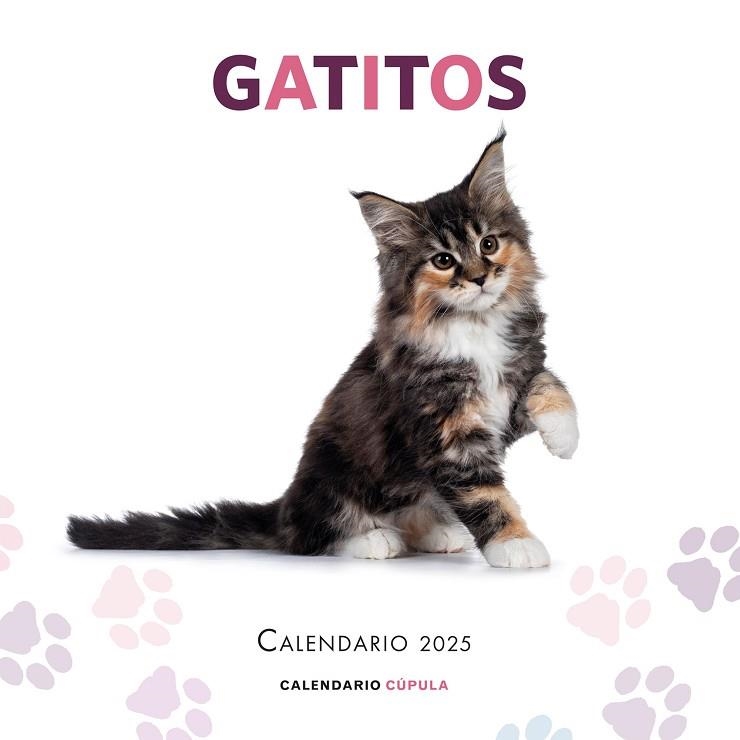 CALENDARIO GATITOS 2025 | 9788448041656 | AA.DD. | Llibreria Drac - Librería de Olot | Comprar libros en catalán y castellano online