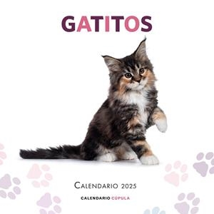CALENDARIO GATITOS 2025 | 9788448041656 | AA.DD. | Llibreria Drac - Llibreria d'Olot | Comprar llibres en català i castellà online