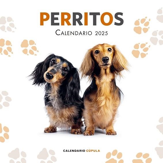 CALENDARIO PERRITOS 2025 | 9788448041649 | AA.DD. | Llibreria Drac - Librería de Olot | Comprar libros en catalán y castellano online