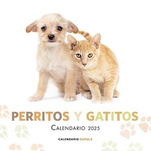 CALENDARIO PERRITOS Y GATITOS 2025 | 9788448041632 | AA.DD. | Llibreria Drac - Llibreria d'Olot | Comprar llibres en català i castellà online