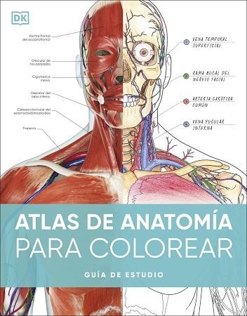 ATLAS DE ANATOMÍA PARA COLOREAR | 9780241703090 | DK | Llibreria Drac - Librería de Olot | Comprar libros en catalán y castellano online