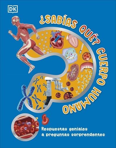 ¿SABÍAS QUÉ? CUERPO HUMANO | 9780241702697 | DK | Llibreria Drac - Librería de Olot | Comprar libros en catalán y castellano online