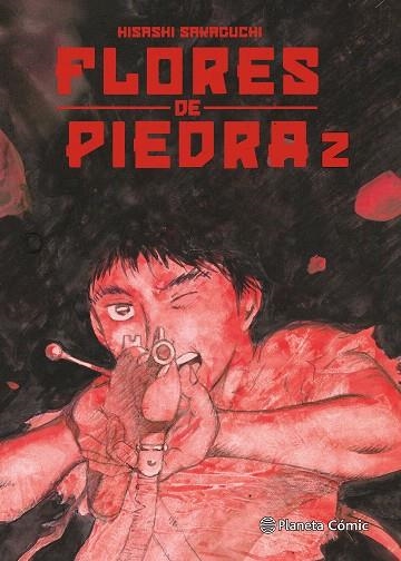 FLORES DE PIEDRA Nº 02/05 | 9788411612777 | SAKAGUCHI, HISASHI | Llibreria Drac - Librería de Olot | Comprar libros en catalán y castellano online