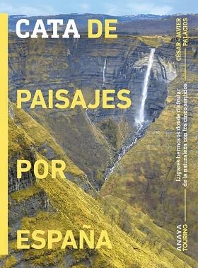 CATA DE PAISAJES POR ESPAÑA 2024 | 9788491588429 | PALACIOS, CÉSAR JAVIER | Llibreria Drac - Librería de Olot | Comprar libros en catalán y castellano online