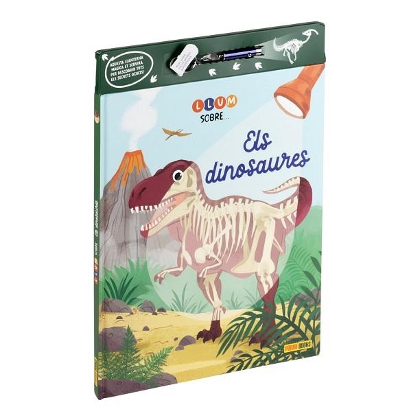 LLUM SOBRE ELS DINOSAURES | 9788411509893 | AA.DD. | Llibreria Drac - Librería de Olot | Comprar libros en catalán y castellano online