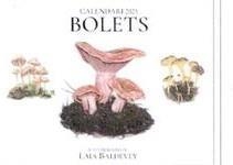 BOLETS CALENDARI 2025 | 8415001049194 | AA.DD. | Llibreria Drac - Librería de Olot | Comprar libros en catalán y castellano online